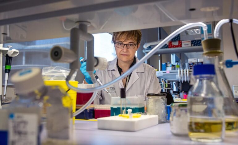 Los científicos validan una nueva estrategia terapéutica para prevenir el Parkinson