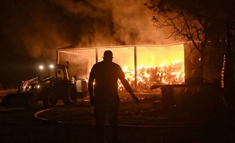 Tres nuevos incendios forestales en Grecia obligan a evacuar a unas 1.300 personas