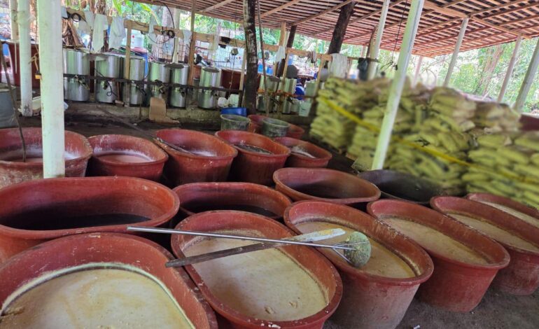 Harfuch confirma megadecomiso de 6 toneladas de drogas en Chiapas y Guerrero