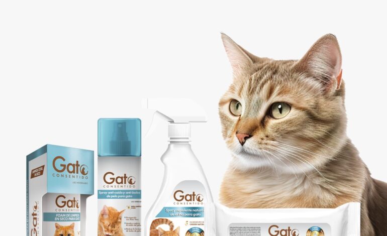¡Día Internacional del Gato! Celébralo creando una rutina de cuidado e higiene para tu michi